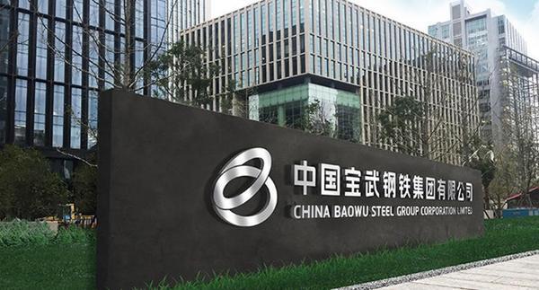 宝钢武钢合并最新动态，深度分析与观点阐述