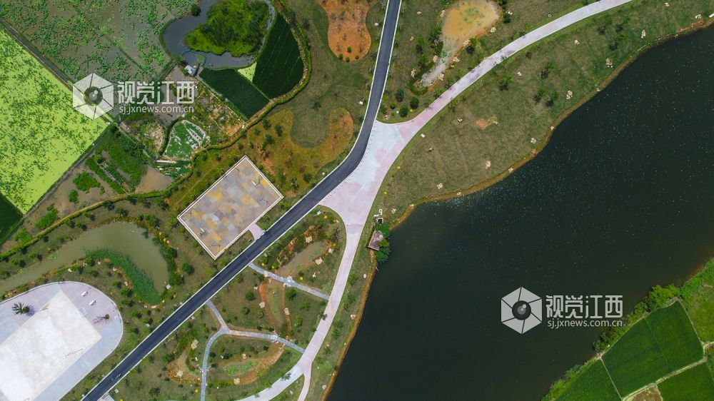 利辛县最新规划全景图，探寻规划下的温馨日常